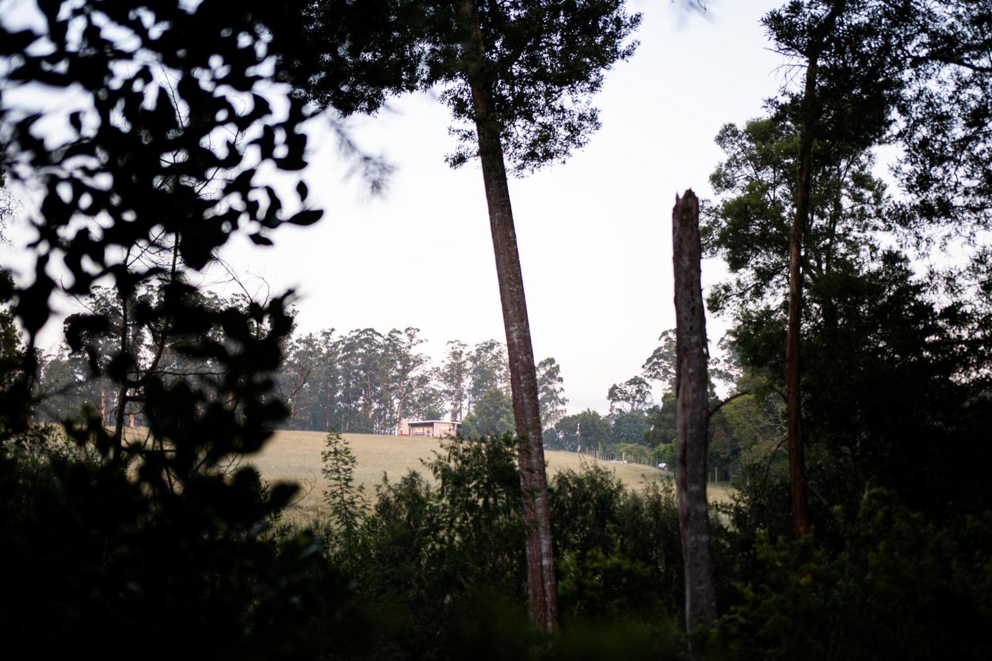 Oakhurst Farm Cottages ワイルダーネス エクステリア 写真