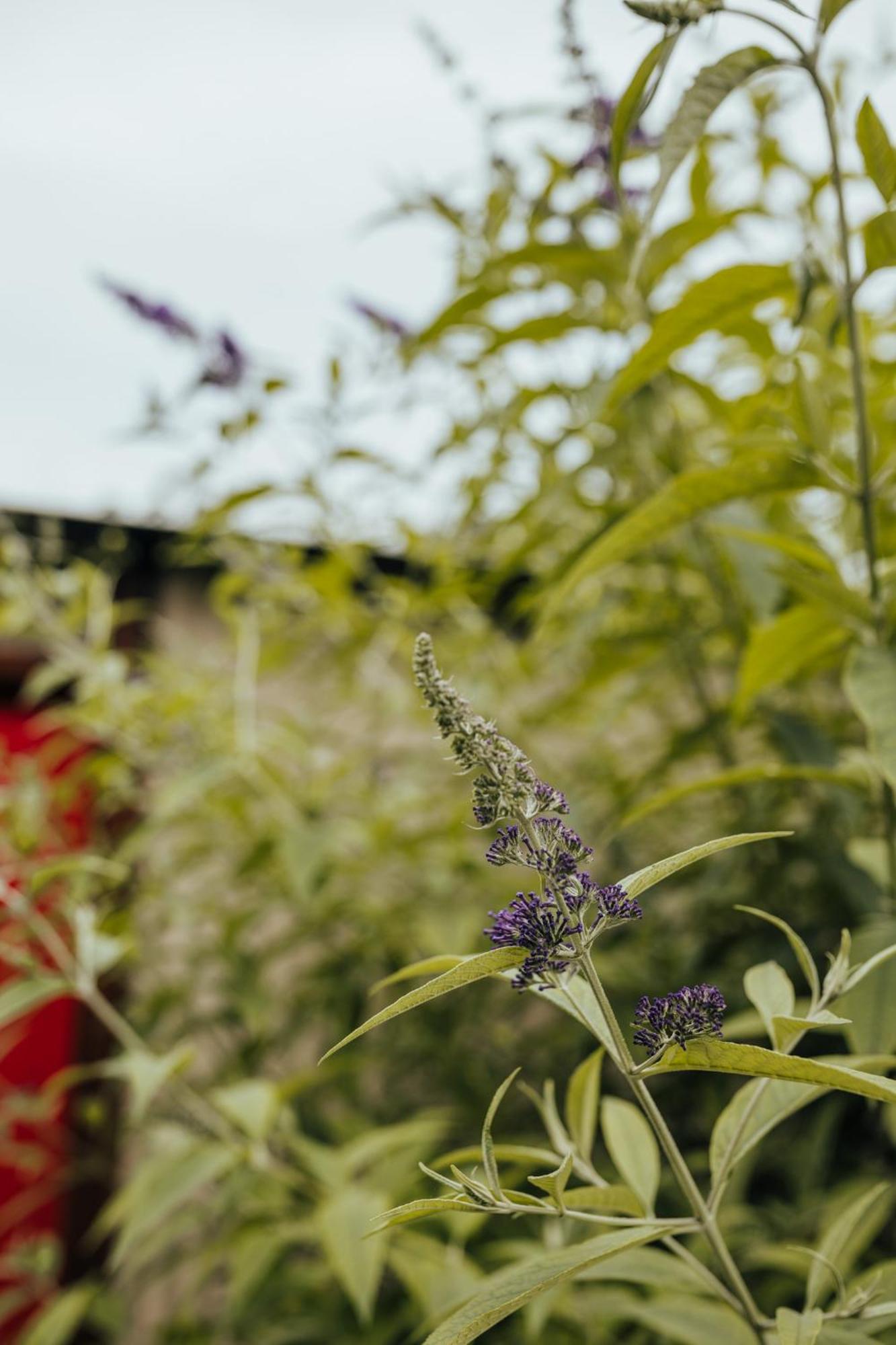 Oakhurst Farm Cottages ワイルダーネス エクステリア 写真